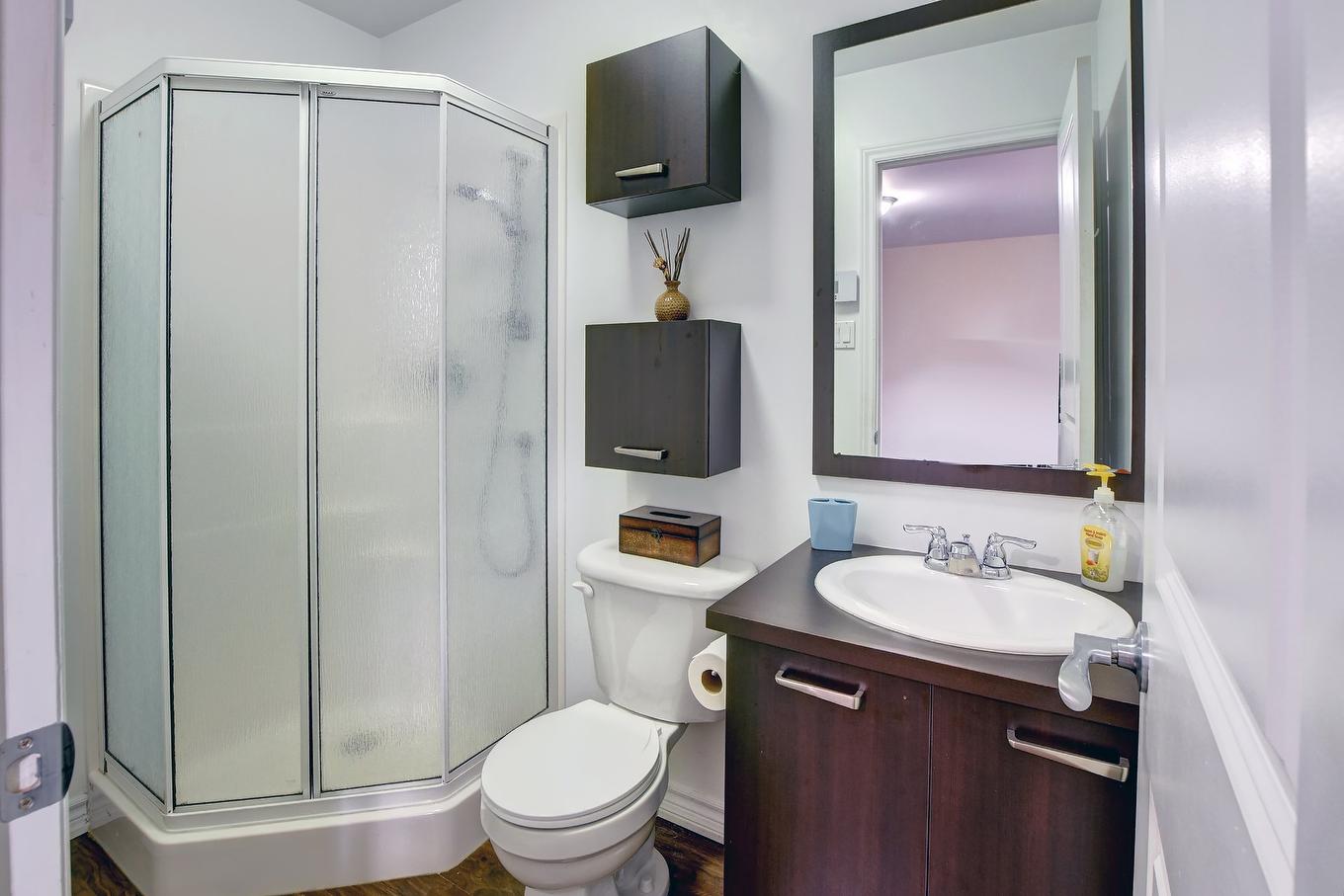 Bathroom - 773 Rue Jacques, Saint-Colomban, QC