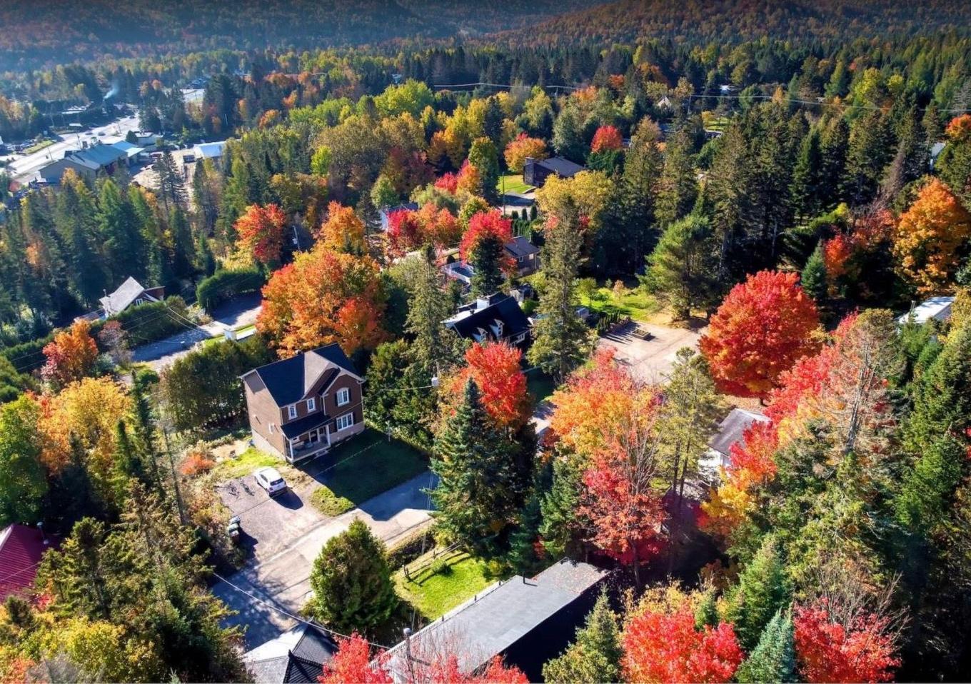 Overall view - 2070 Rue Wilfrid, Val-David, QC - Outdoor With View