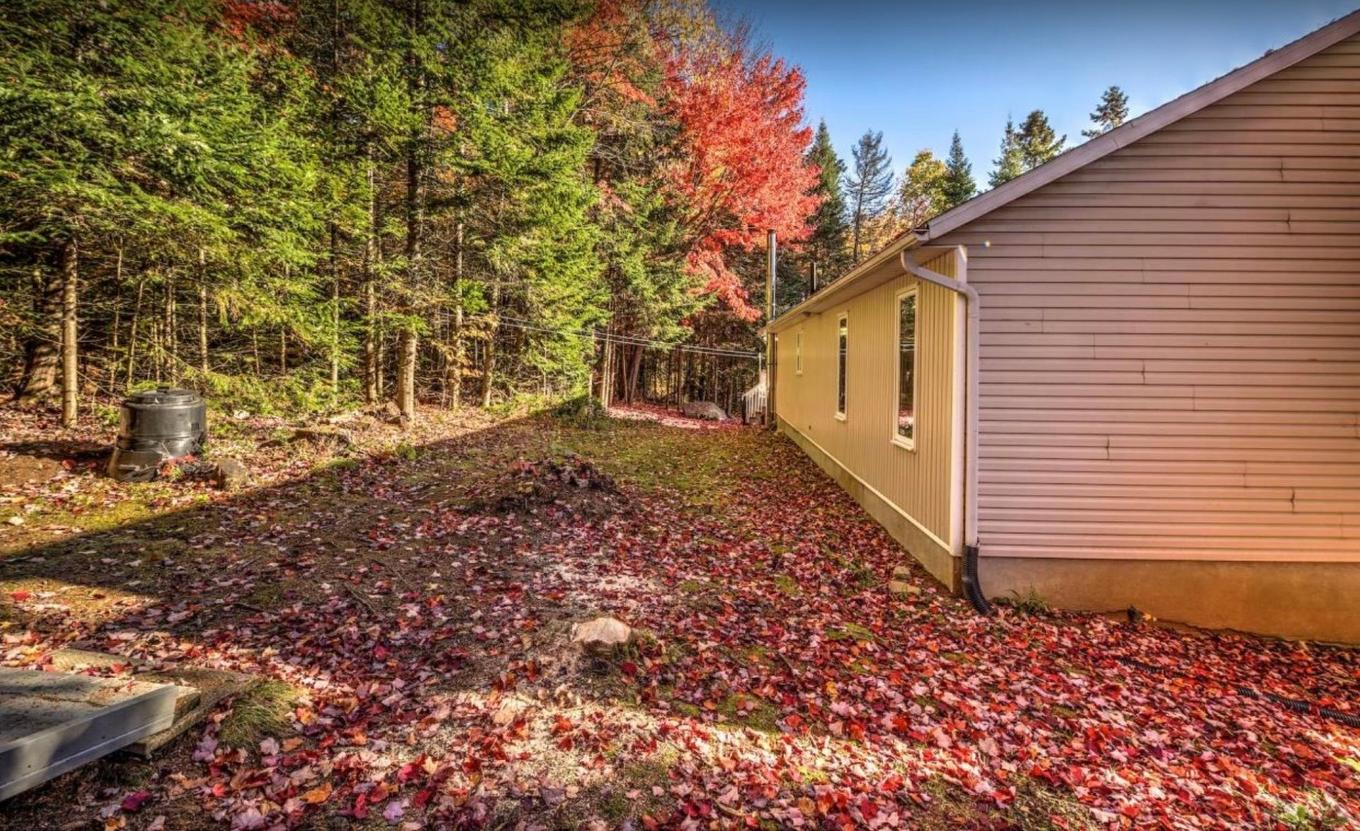 Backyard - 2070 Rue Wilfrid, Val-David, QC - Outdoor
