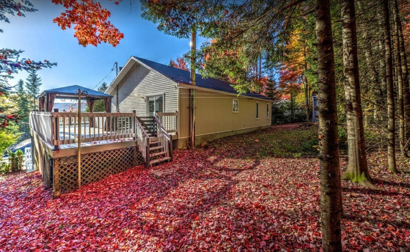 Backyard - 2070 Rue Wilfrid, Val-David, QC - Outdoor With Deck Patio Veranda