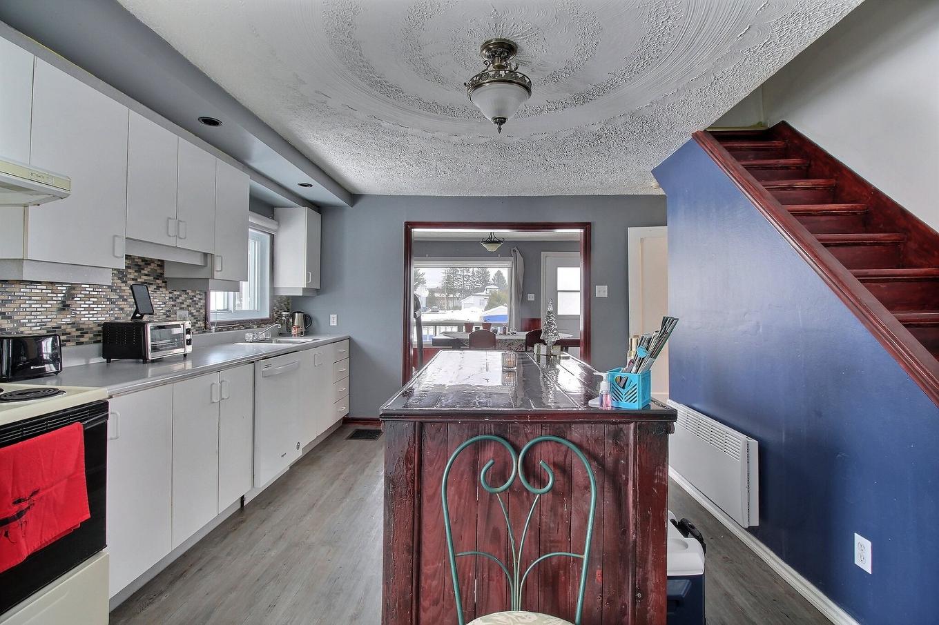 Kitchen - 454 Rue Labrecque, Saint-Honoré-De-Shenley, QC - Indoor Photo Showing Kitchen With Double Sink
