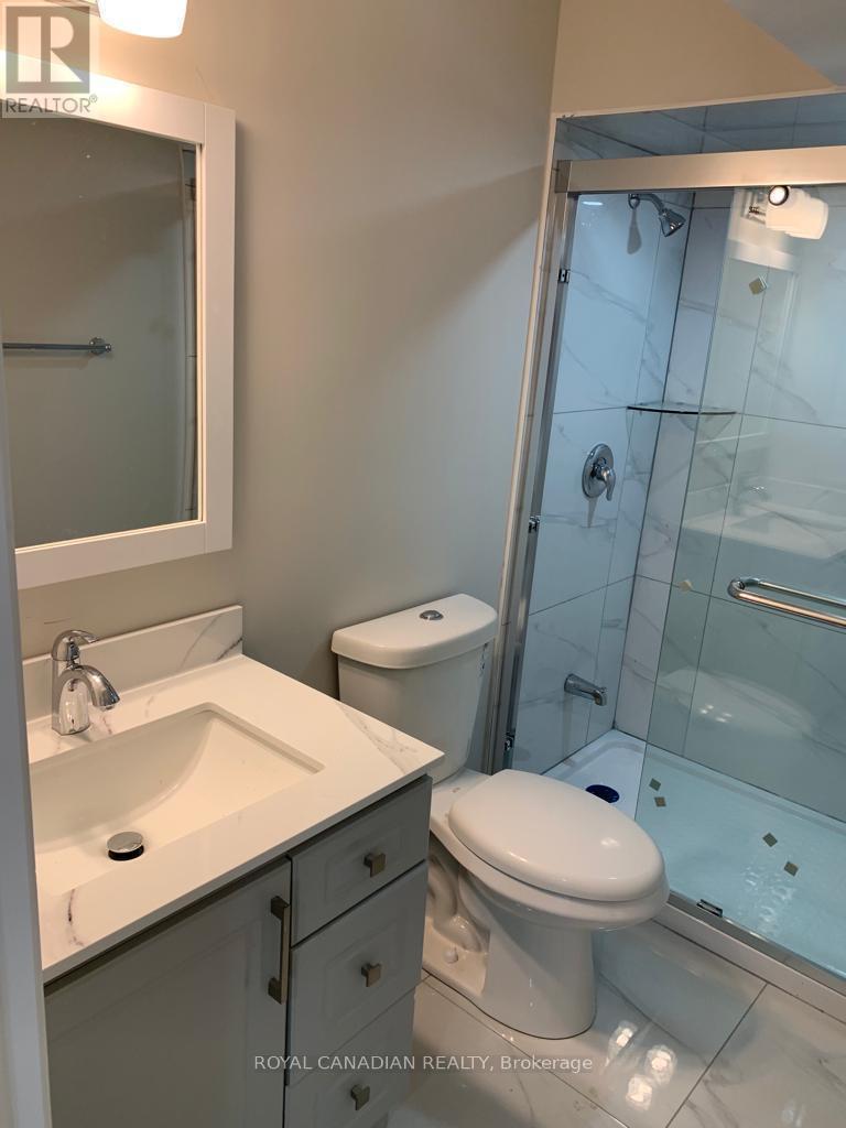 Bsmt - 3 Bushwood Trail, Brampton, ON - Indoor Photo Showing Bathroom