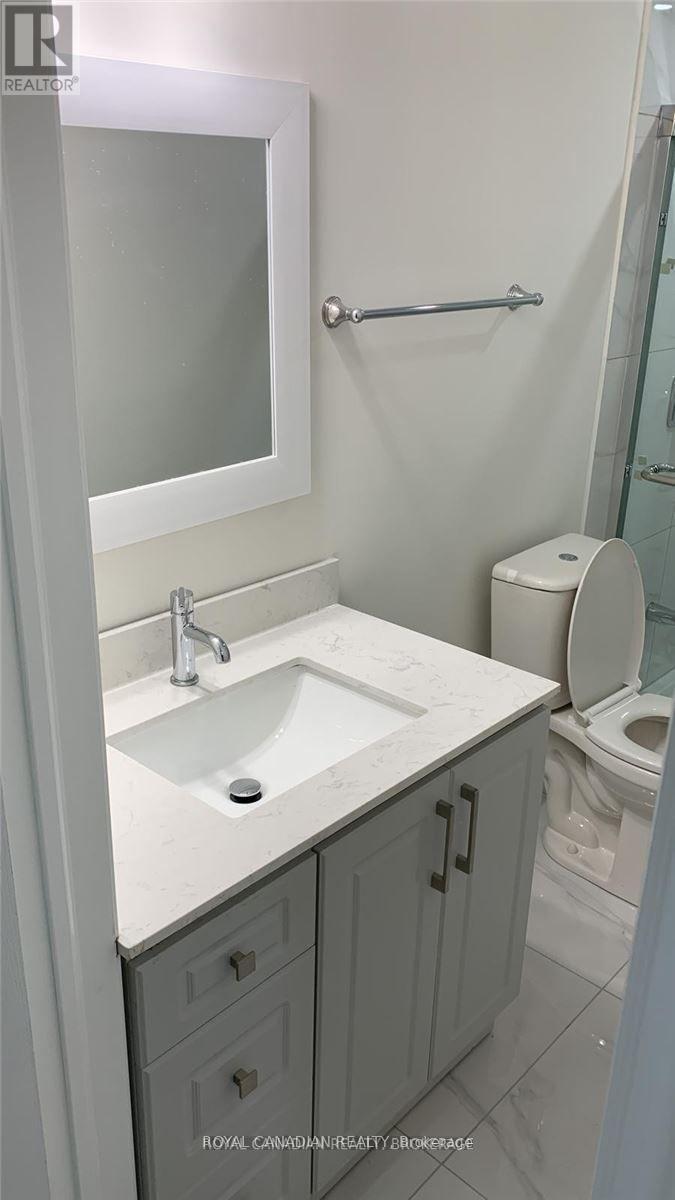 Bsmt - 3 Bushwood Trail, Brampton, ON - Indoor Photo Showing Bathroom