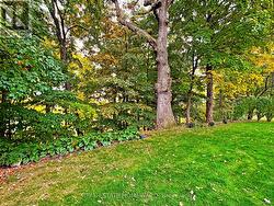 Overlooking Bronte Creek -