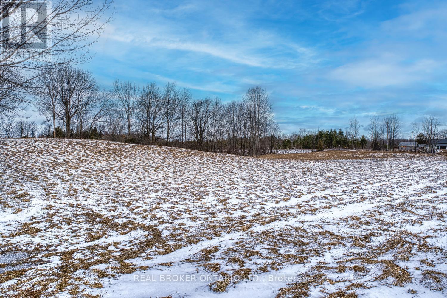 316486 6 Highway, Chatsworth, ON