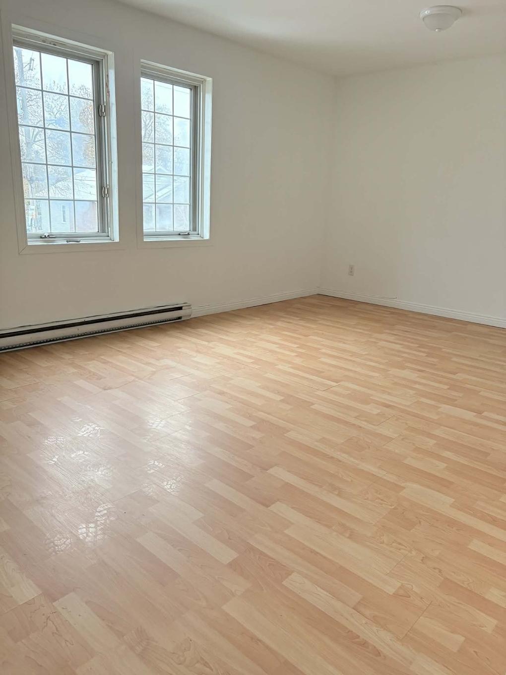Primary bedroom - 246 Rue Jeannette, Longueuil (Le Vieux-Longueuil), QC - Indoor Photo Showing Other Room