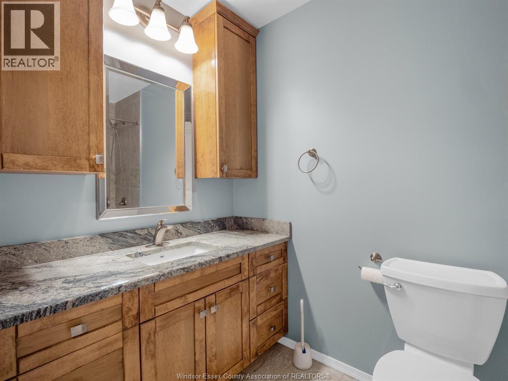 234 Renaud Line, Lakeshore, ON - Indoor Photo Showing Bathroom