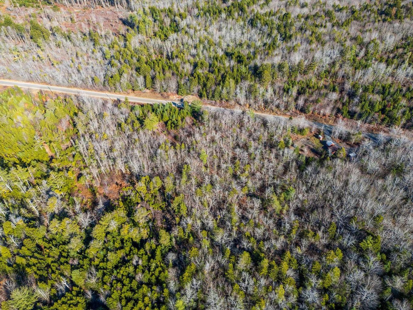 Lot Major Road, Belliveaus Cove, NS