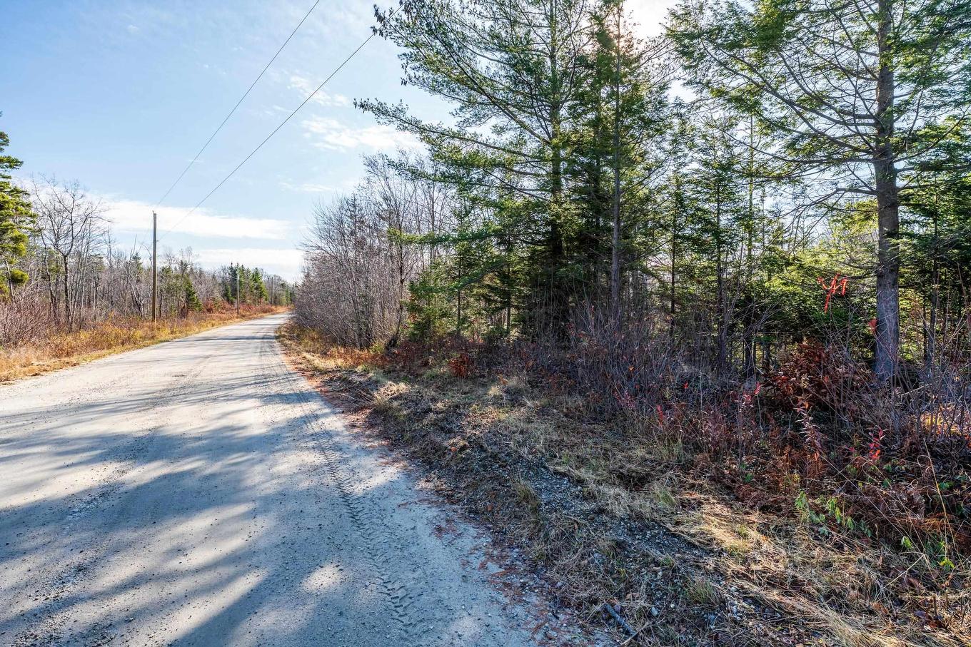 Lot Major Road, Belliveaus Cove, NS