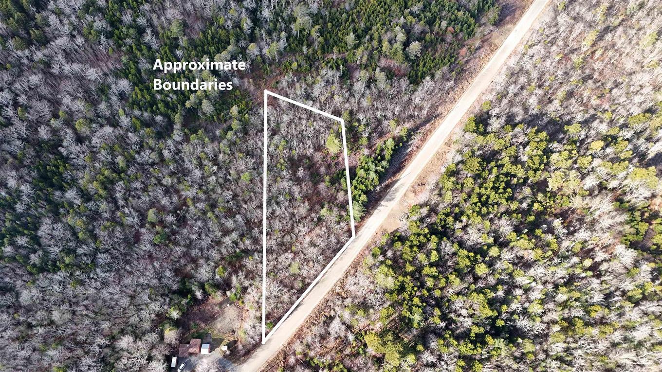 Lot Major Road, Belliveaus Cove, NS