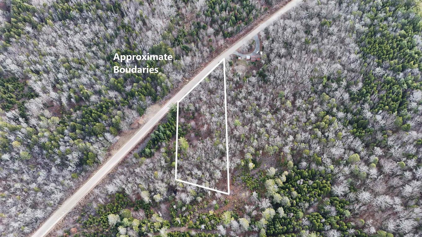 Lot Major Road, Belliveaus Cove, NS