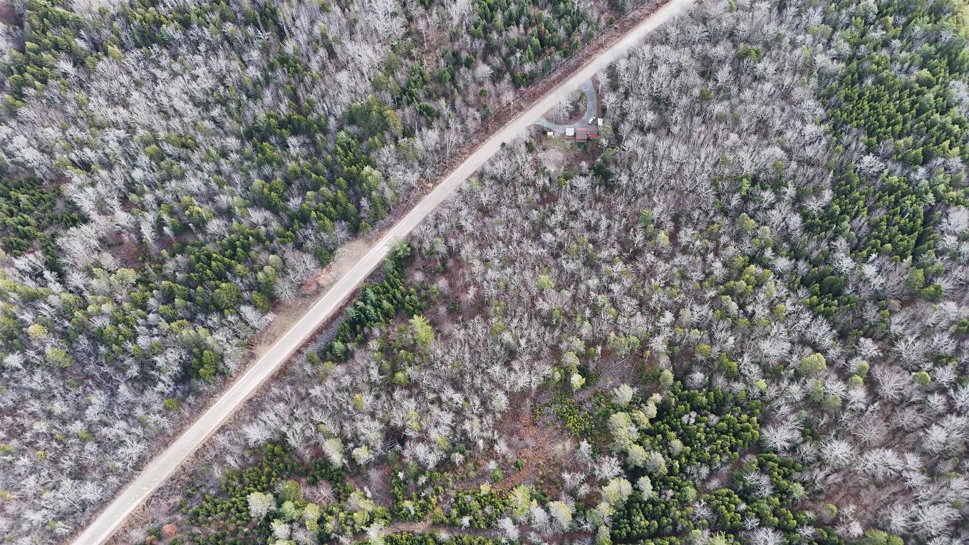 Lot Major Road, Belliveaus Cove, NS