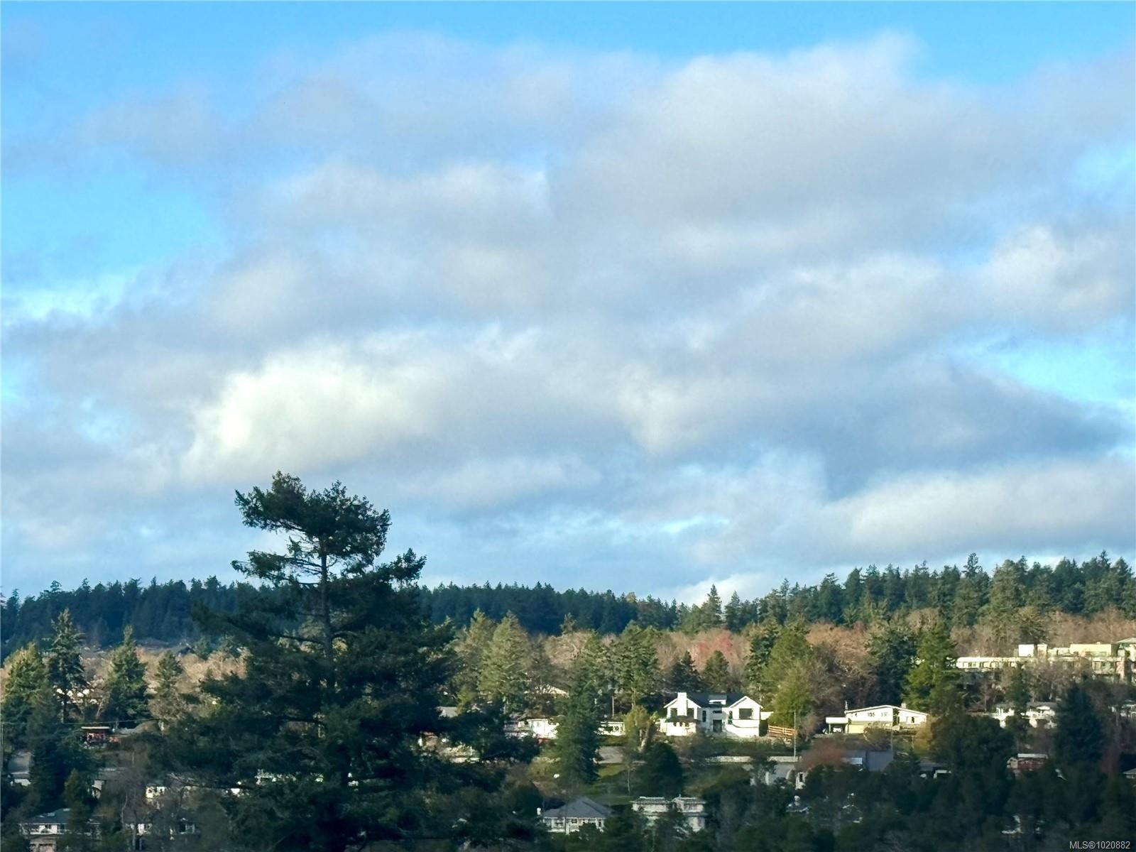 4335 Emily Carr Dr, Saanich, BC