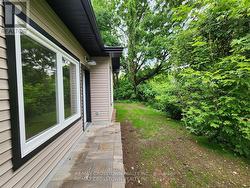 Backyard (photo from 2023, grass is grown in now) -