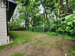 Backyard (photo from 2023, grass is grown in now) -