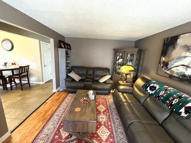 369-371 Shuniah Street, Thunder Bay, ON - Indoor Photo Showing Living Room