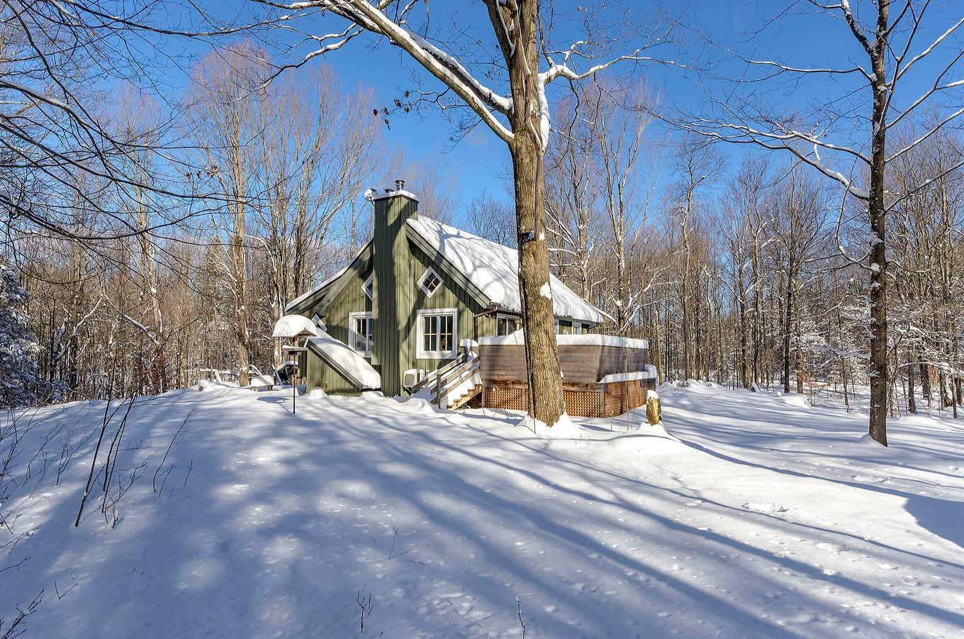 Extérieur - 500 Ch. Élie, Sutton, QC - Outdoor