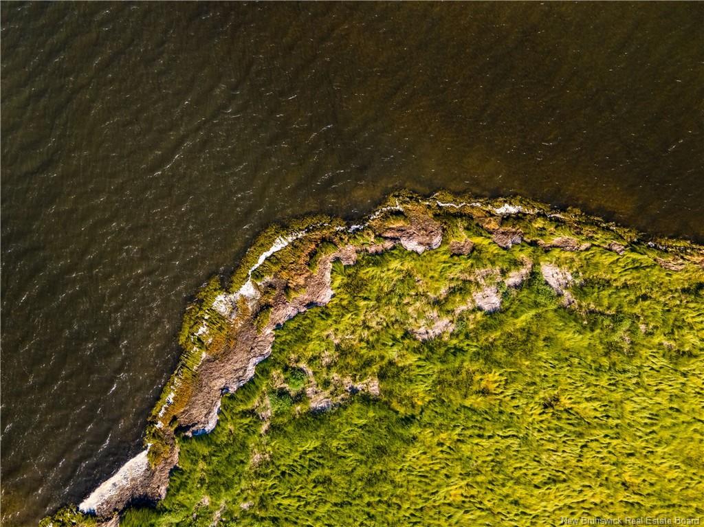 Vacant Lot 530 Rte, Grande-Digue, NB