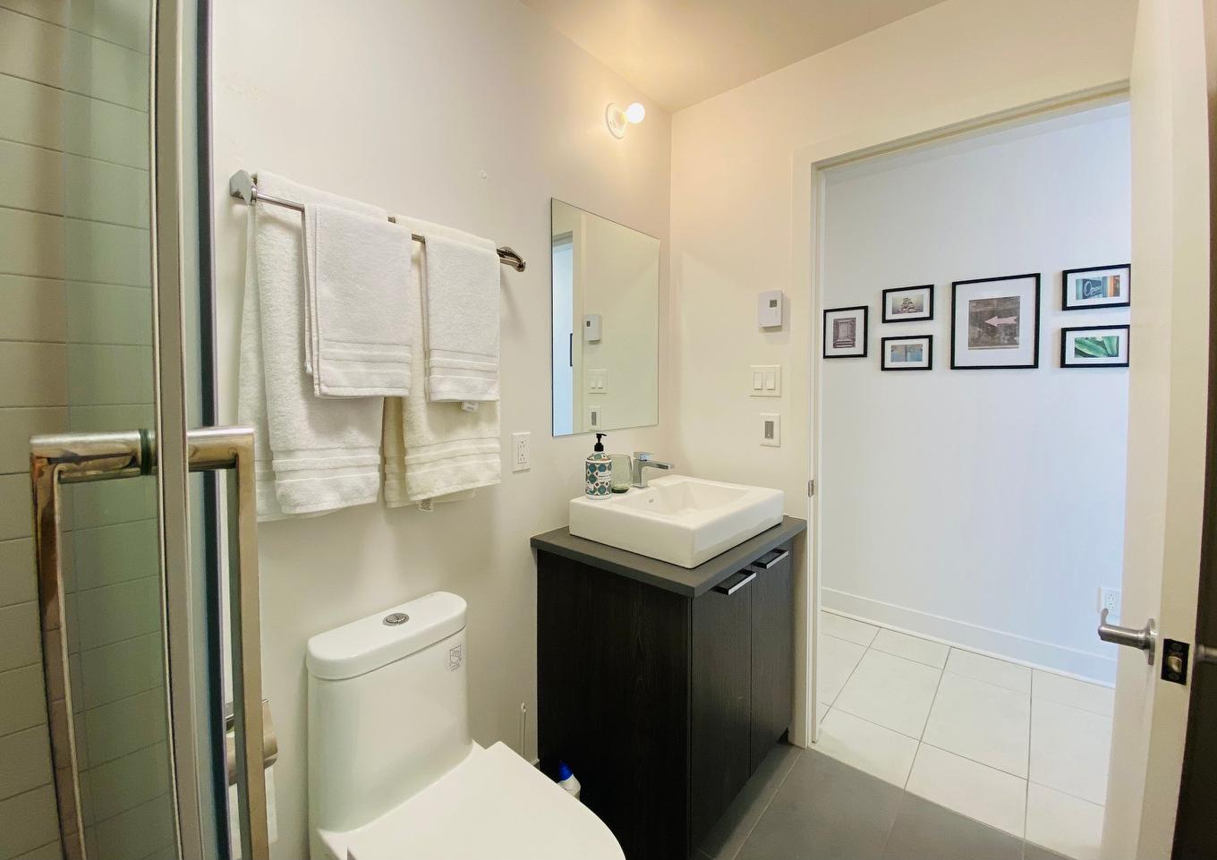 Bathroom - 312-901 Av. Beaumont, Montréal (Villeray/Saint-Michel/Parc-Extension), QC - Indoor Photo Showing Bathroom