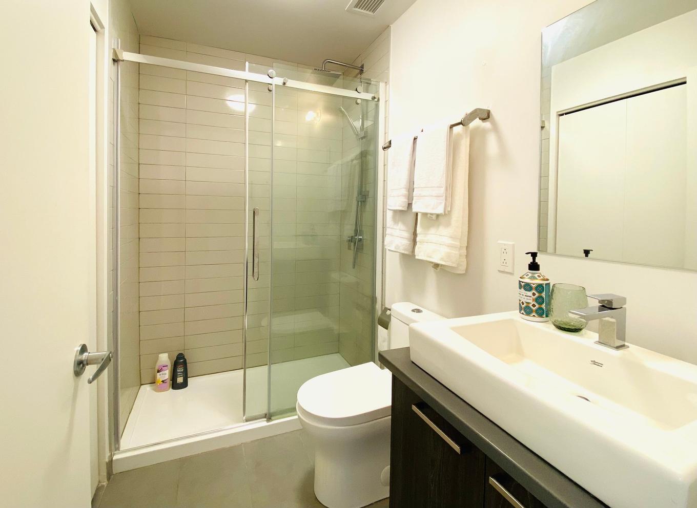 Bathroom - 312-901 Av. Beaumont, Montréal (Villeray/Saint-Michel/Parc-Extension), QC - Indoor Photo Showing Bathroom