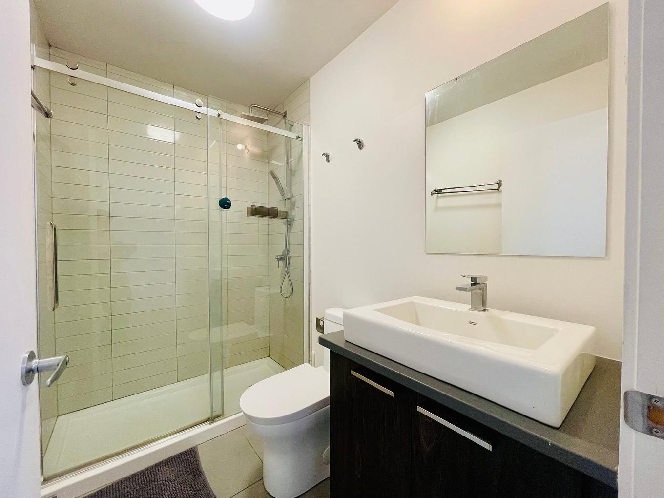 Bathroom - 312-901 Av. Beaumont, Montréal (Villeray/Saint-Michel/Parc-Extension), QC - Indoor Photo Showing Bathroom