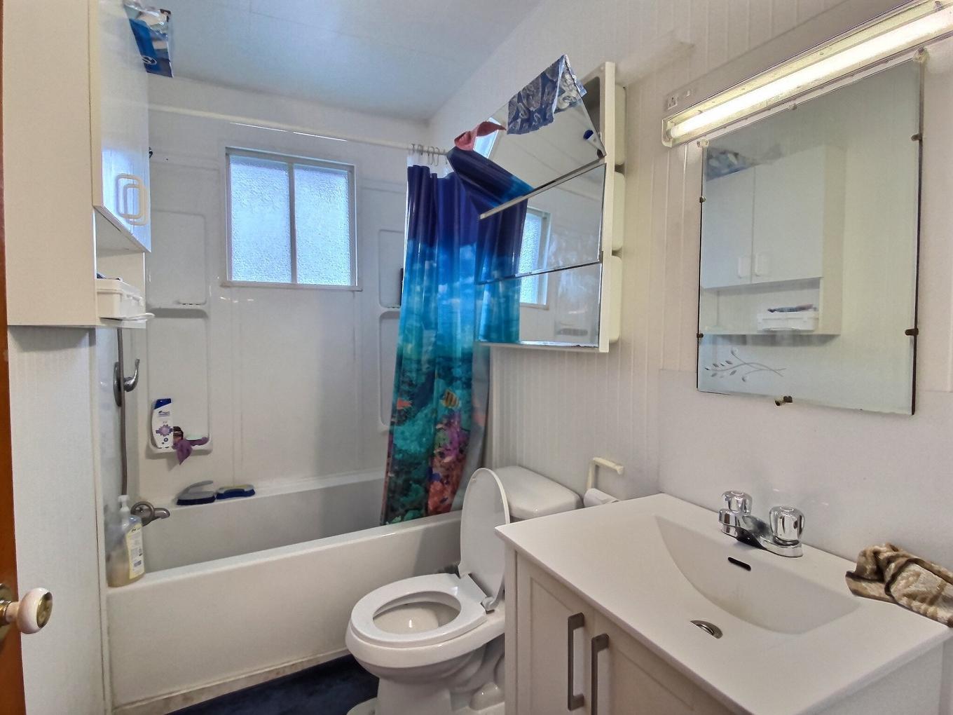 Bathroom - 275 14E Rue E., East Broughton, QC - Indoor Photo Showing Bathroom