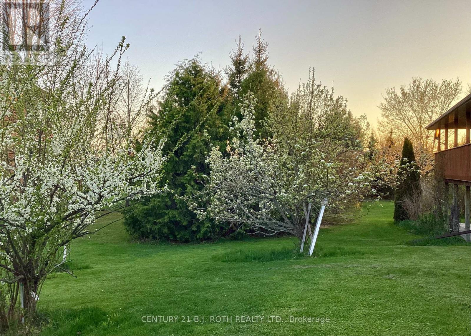 30 Tecumseth Heights Drive, New Tecumseth, ON - Outdoor