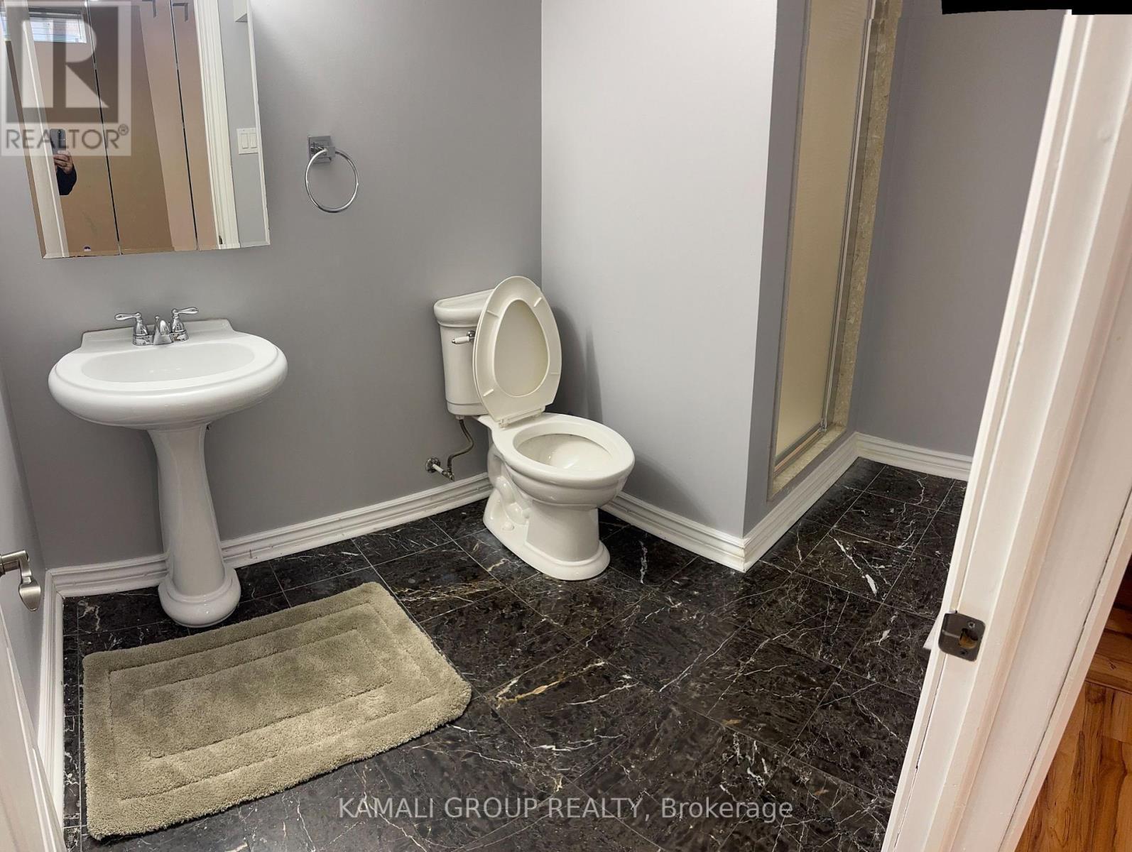 Basement - 103 Filippazzo Road, Vaughan, ON - Indoor Photo Showing Bathroom