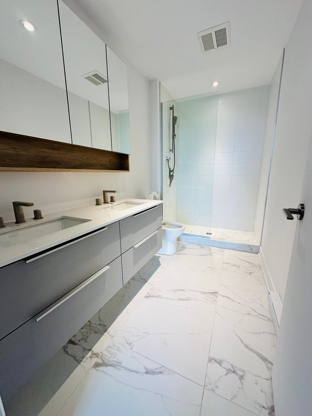 Salle de bains - 713-505 Rue De L'Escale, Brossard, QC - Indoor Photo Showing Bathroom