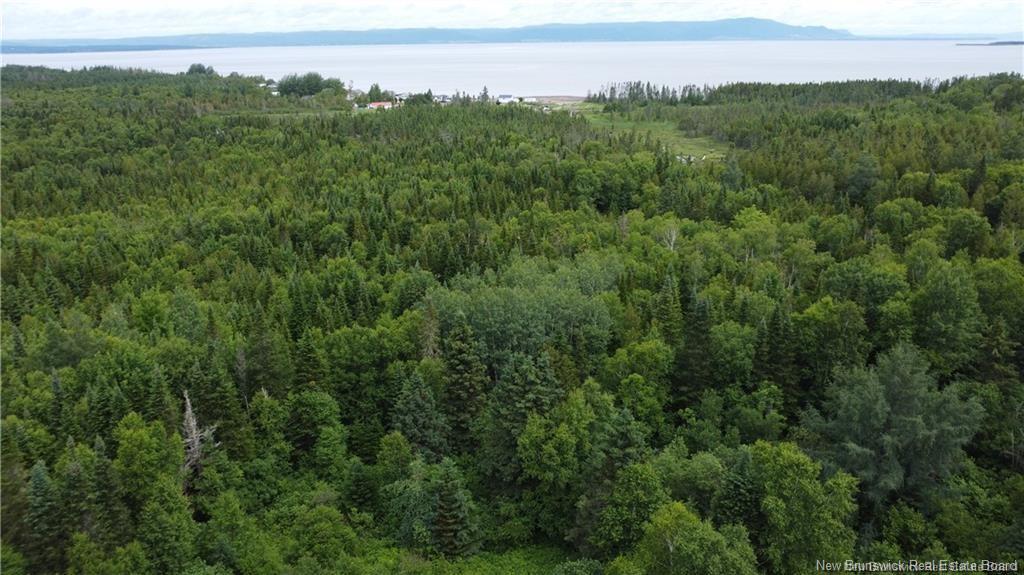 0000 Chaleur, Charlo, NB