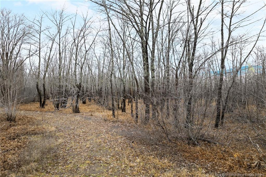 Lot Upper Coytown Rd, Upper Gagetown, NB