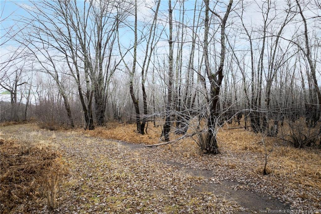 Lot Upper Coytown Rd, Upper Gagetown, NB