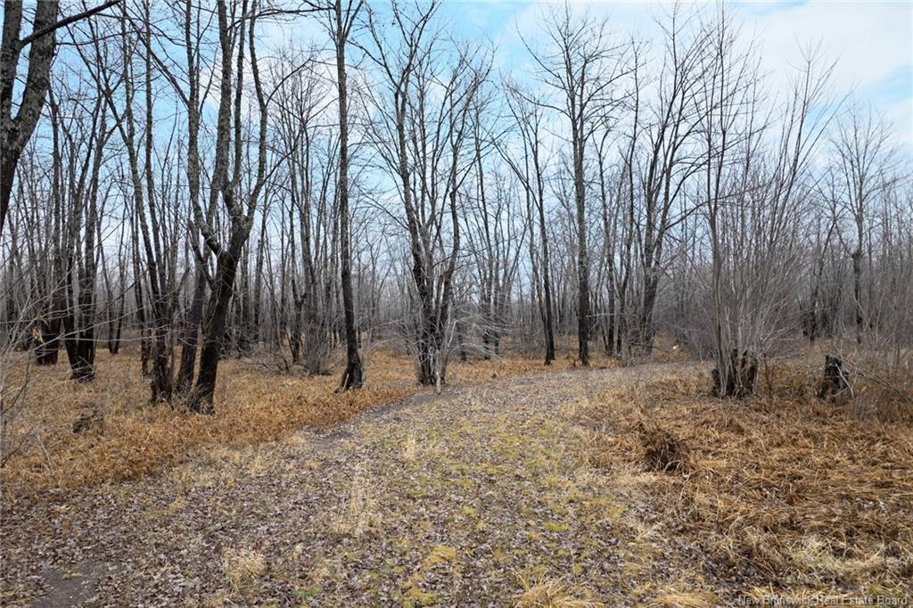 Lot Upper Coytown Rd, Upper Gagetown, NB