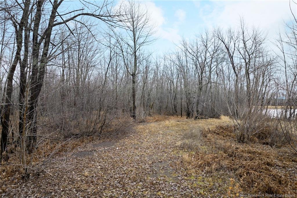 Lot Upper Coytown Rd, Upper Gagetown, NB