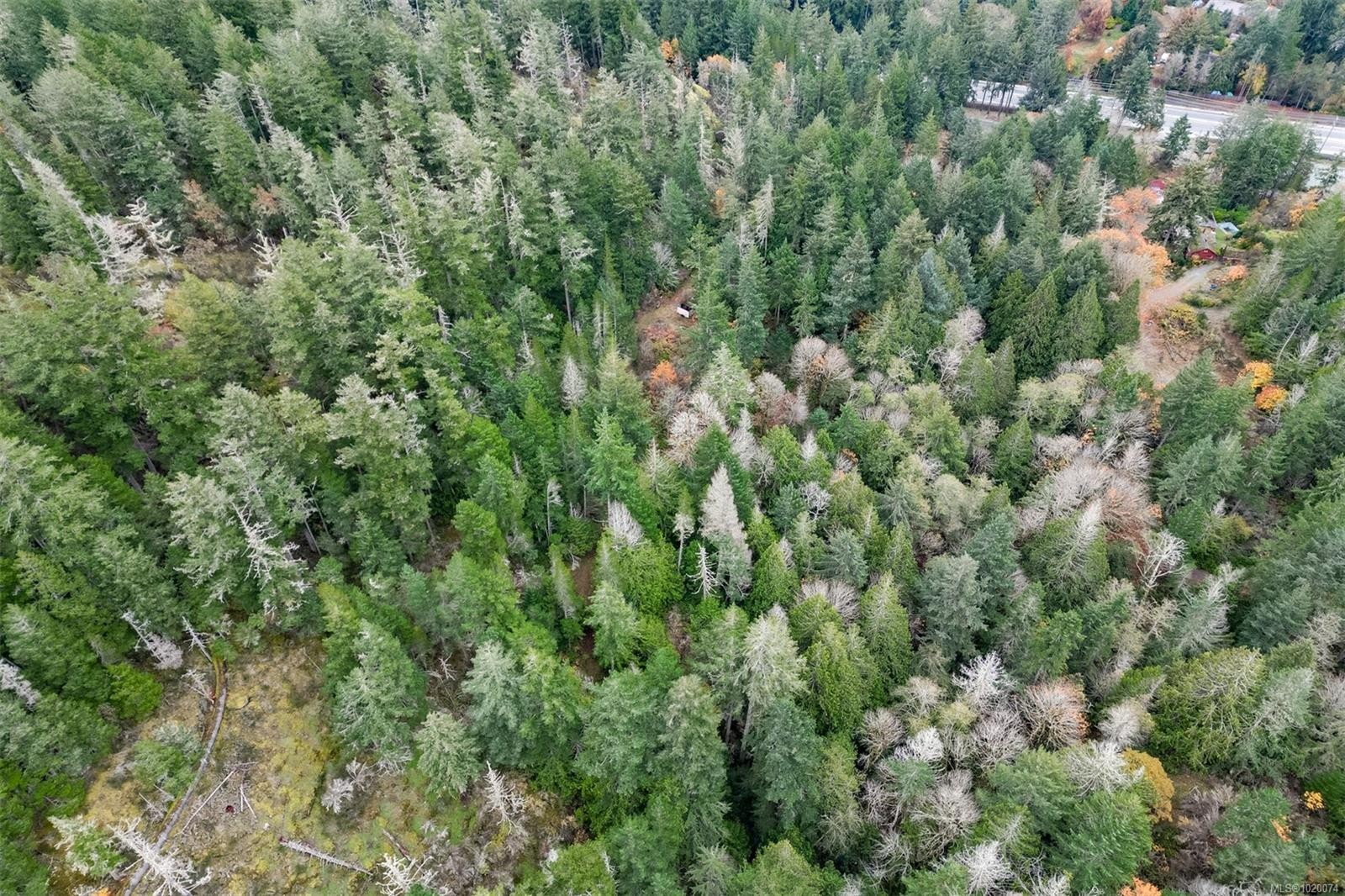 4976 Sooke Rd, Metchosin, BC