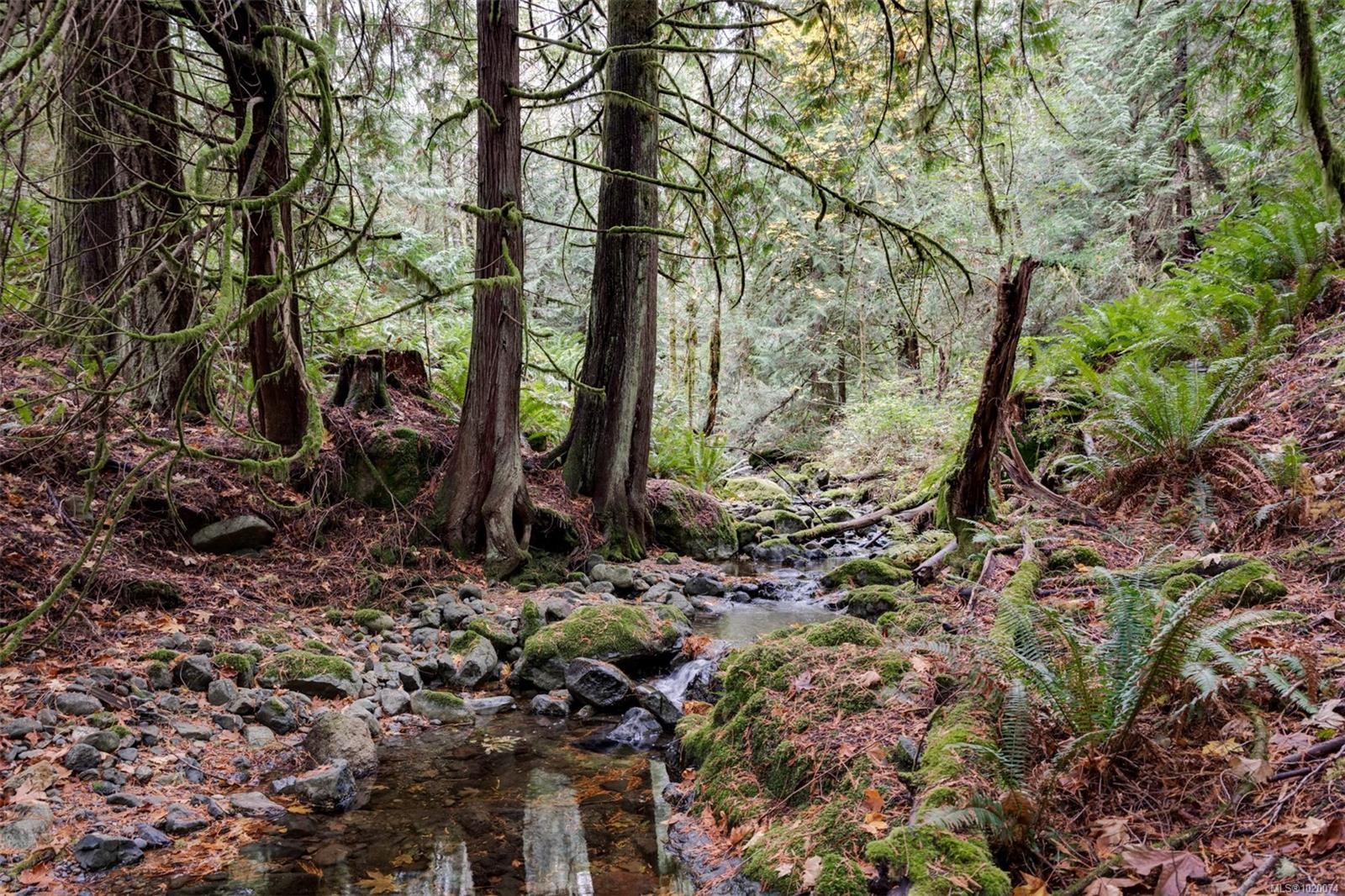 4976 Sooke Rd, Metchosin, BC