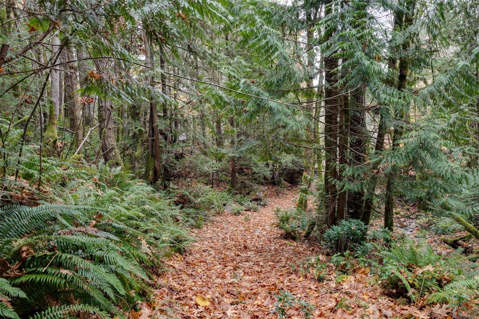 4976 Sooke Rd, Metchosin, BC