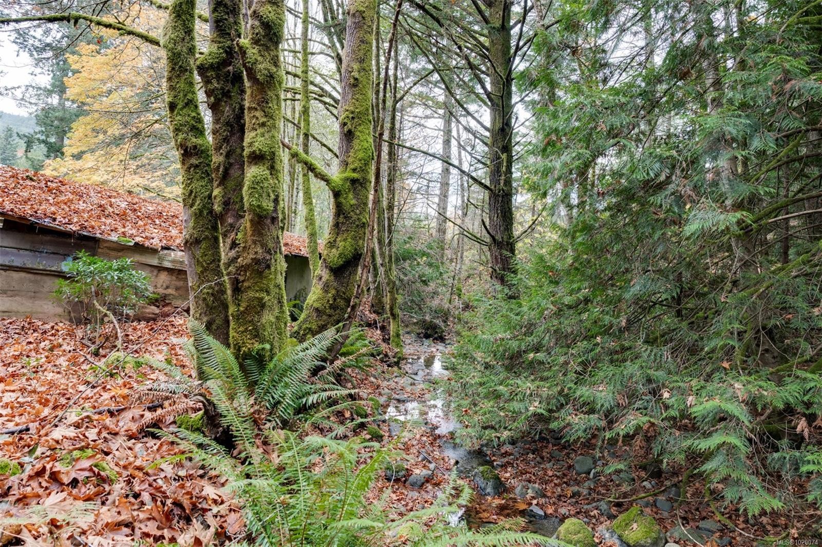 4976 Sooke Rd, Metchosin, BC