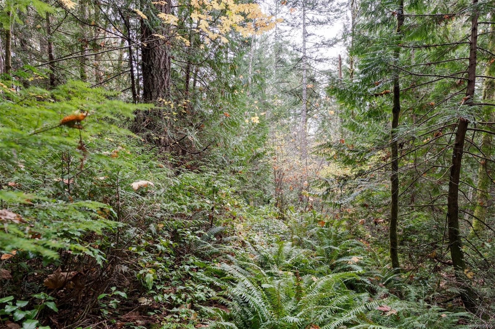 4970 Sooke Rd, Metchosin, BC