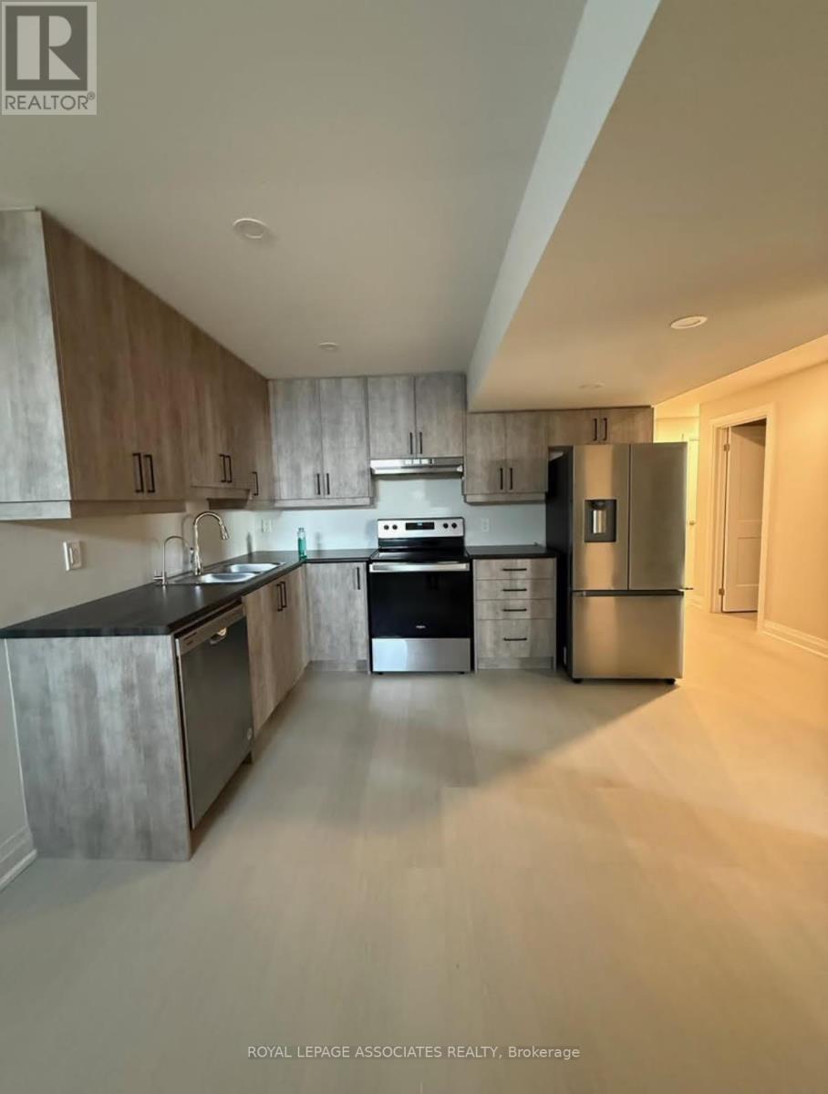 Basement - 45 John Street W, Bradford West Gwillimbury, ON - Indoor Photo Showing Kitchen With Double Sink