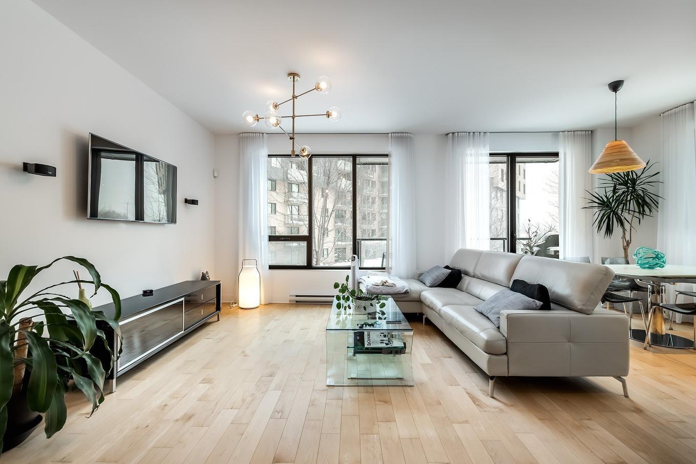 Salon - 211-7317 Av. Victoria, Montréal (Côte-Des-Neiges/Notre-Dame-De-Grâce), QC - Indoor Photo Showing Living Room