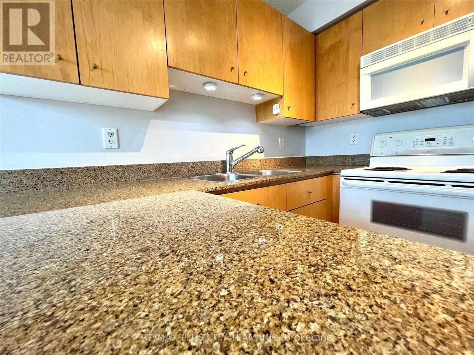 1103 - 381 Front Street W, Toronto, ON - Indoor Photo Showing Kitchen With Double Sink
