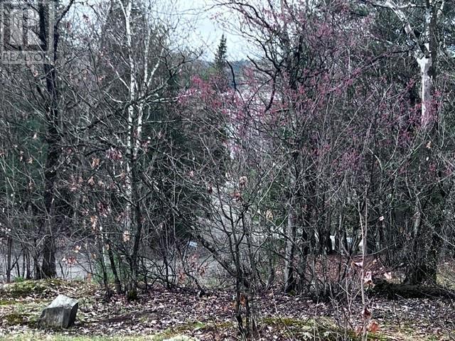 23 Moose Lake Road, Massey, ON - Outdoor