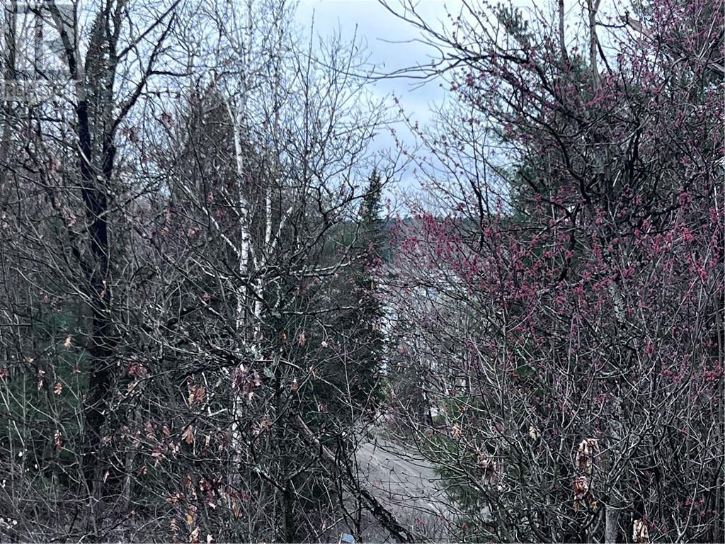 23 Moose Lake Road, Massey, ON - Outdoor