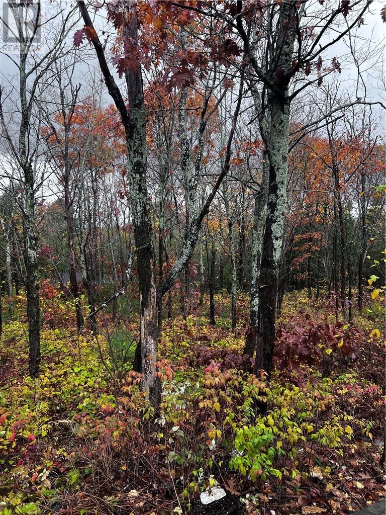 23 Moose Lake Road, Massey, ON - Outdoor