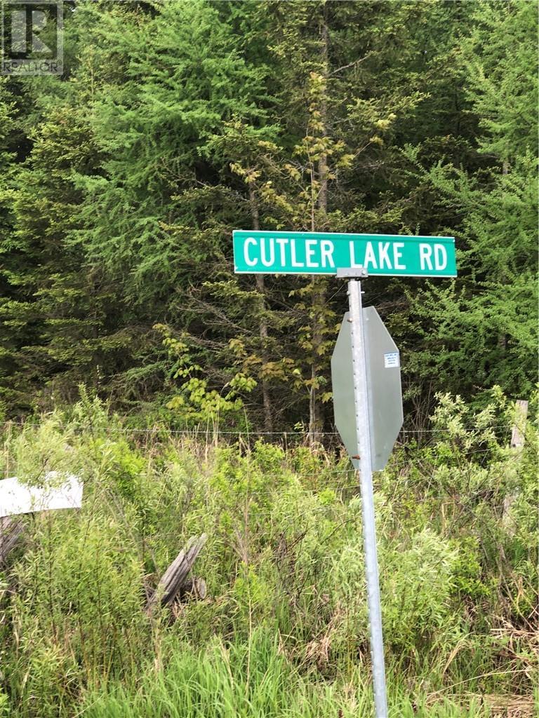 23 Moose Lake Road, Massey, ON - Outdoor