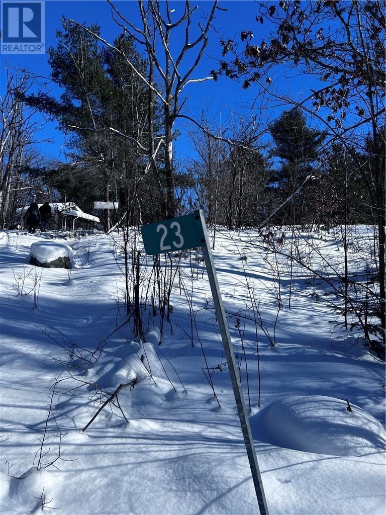 23 Moose Lake Road, Massey, ON - Outdoor With View