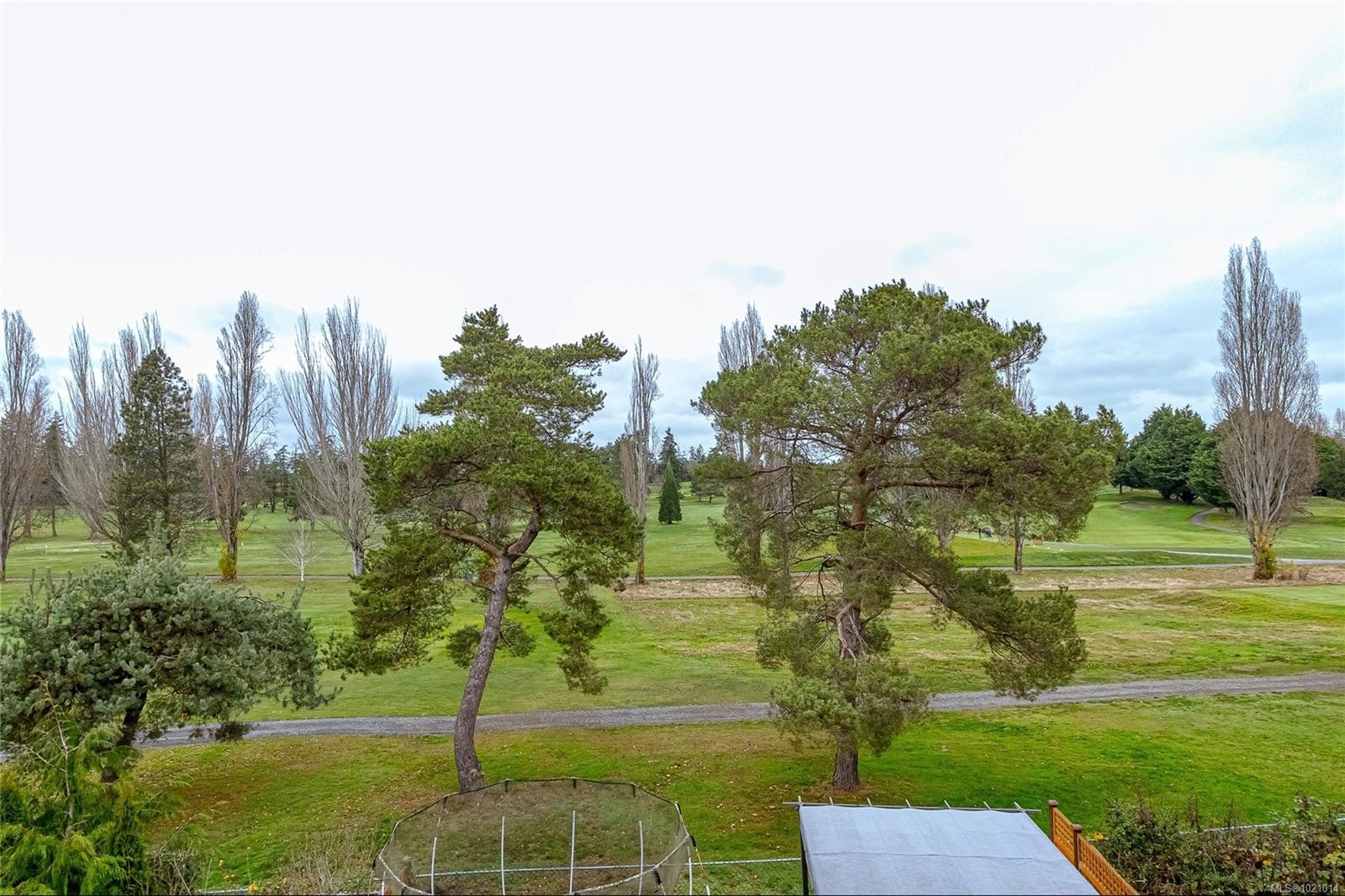 1054 Colville Rd, Esquimalt, BC - Outdoor With View