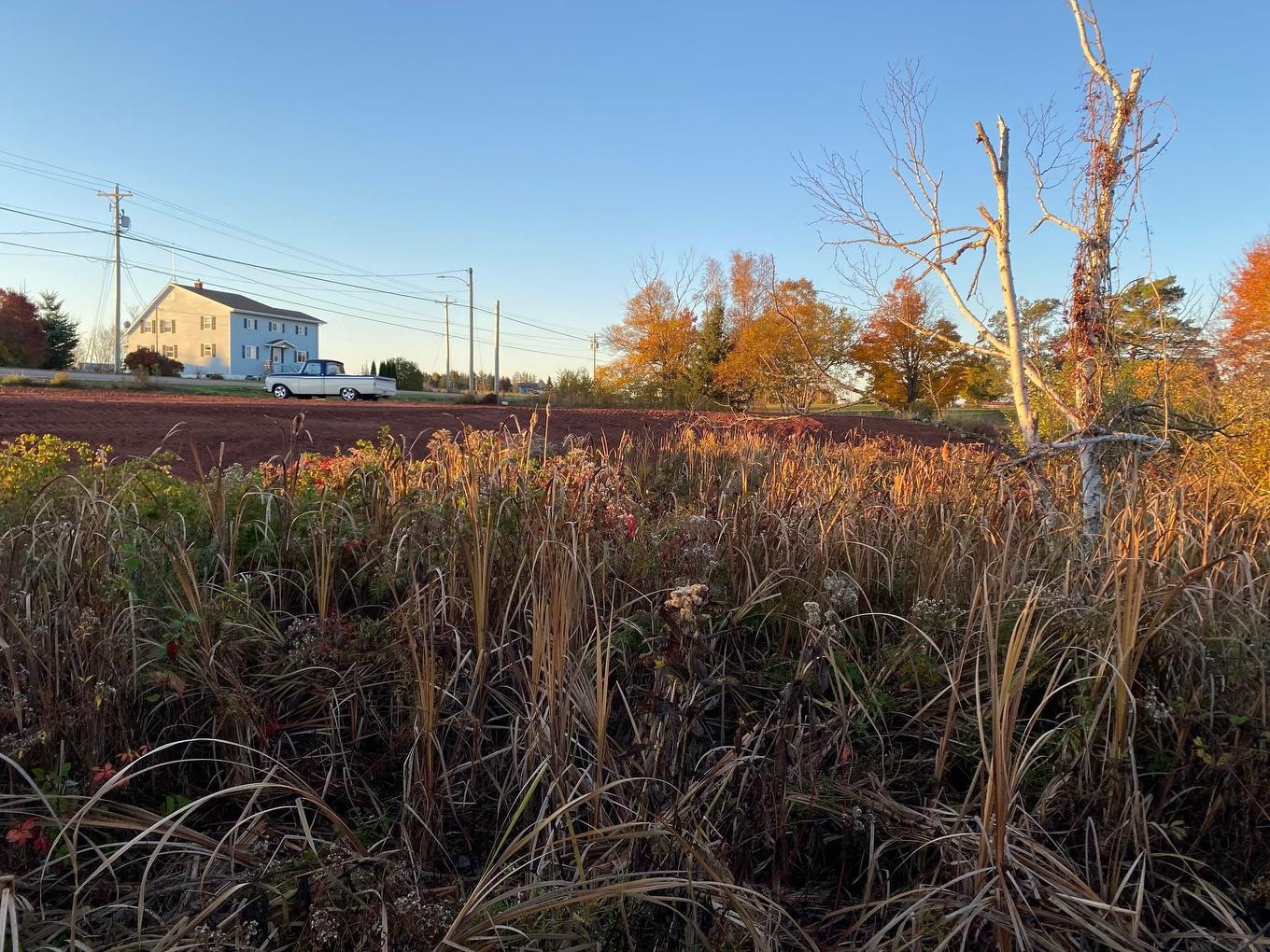 8741 Rte 11, Abrams Village, PE