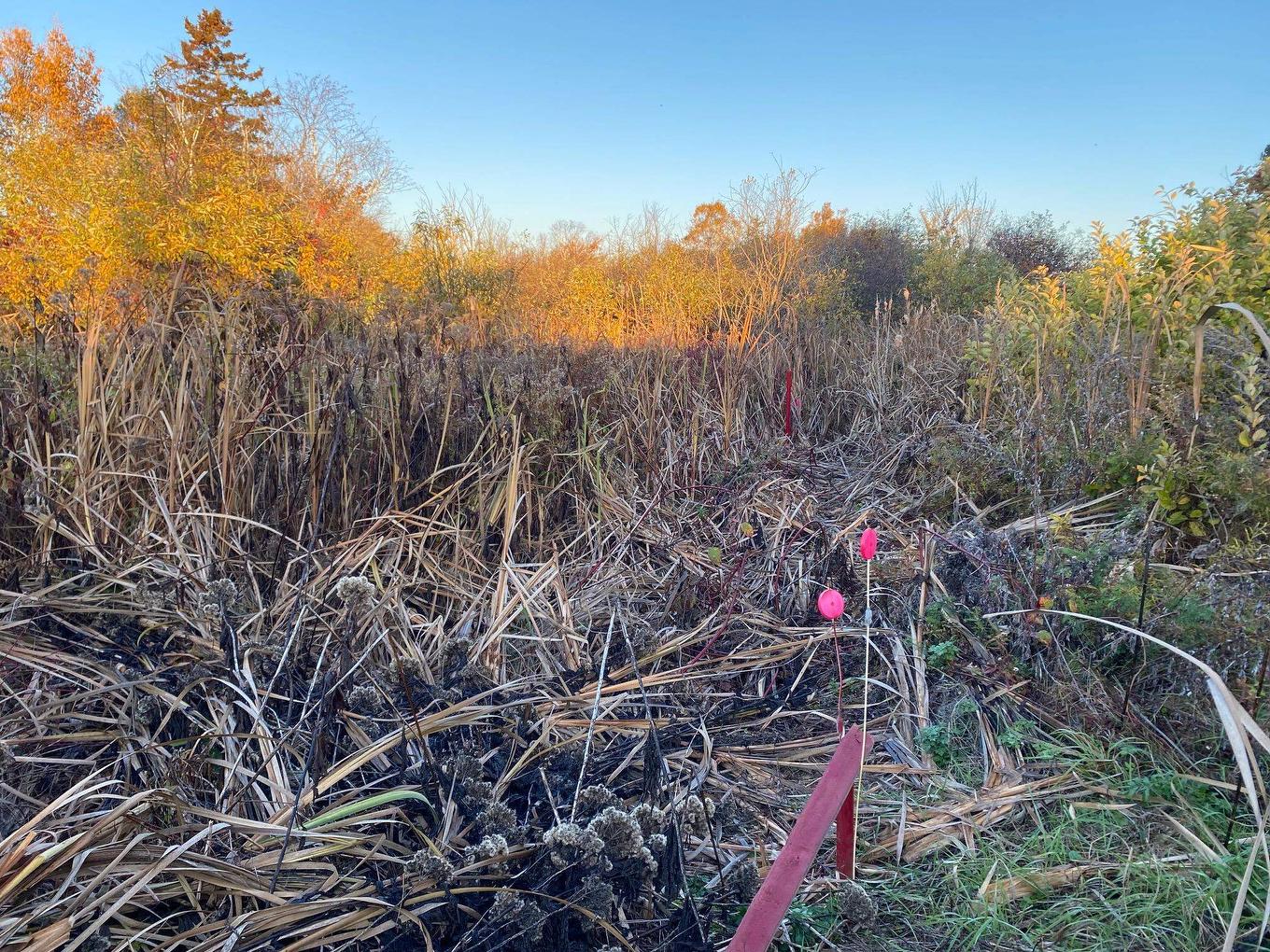 8741 Rte 11, Abrams Village, PE